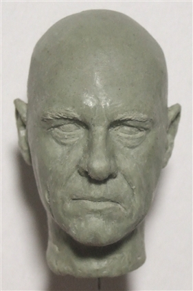 Click for large image